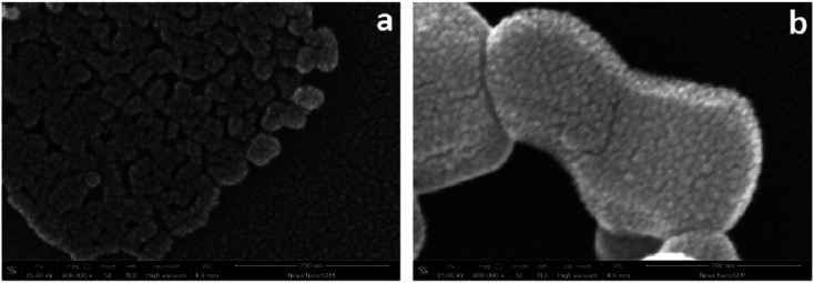 Fig. 11