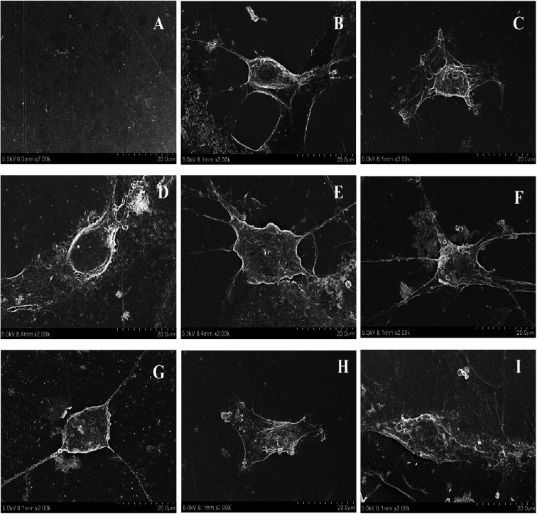 Fig. 14