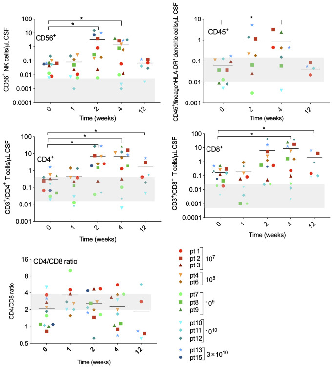 Figure 7. Immune cells were isolated from cerebrospinal fluid at indicated timepoints after Delta24-RGD infusion and analyzed by flow cytometry with the following markers: CD45+CD3−CD56+ (NK cells), DCs (CD45+/lineage−/HLA-DR+), CD45+CD3+/CD4+ (CD4+ T-lymphocytes), and CD45+CD3+/CD8+ (CD8+ T-lymphocytes). Immune cell subsets are presented as absolute numbers per μL CSF. Gray-shaded areas indicate the normal range for each cell type.