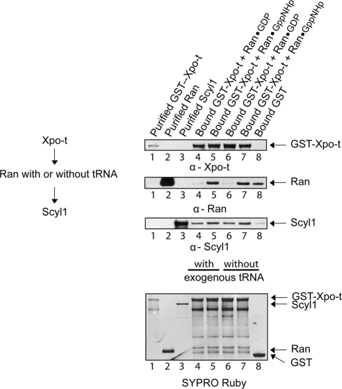 Figure 11.