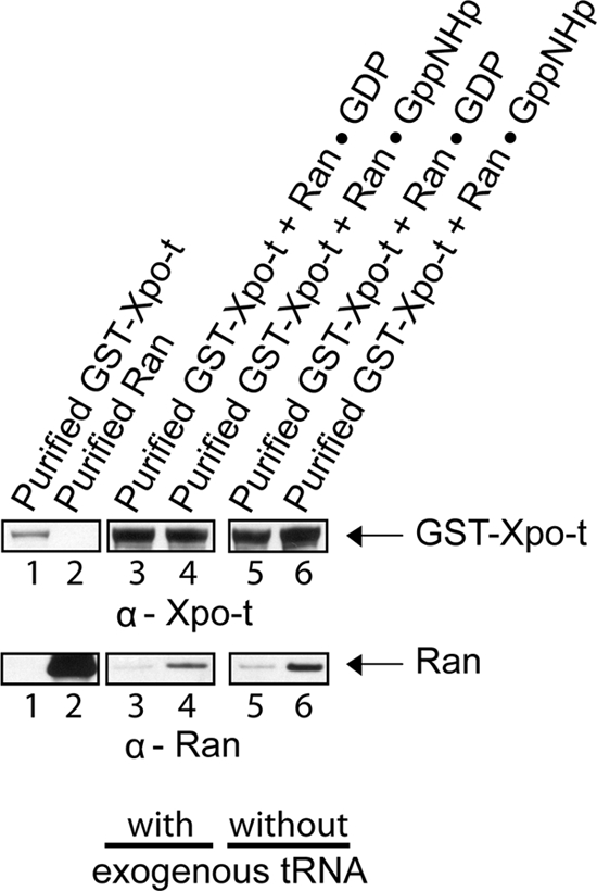 Figure 9.