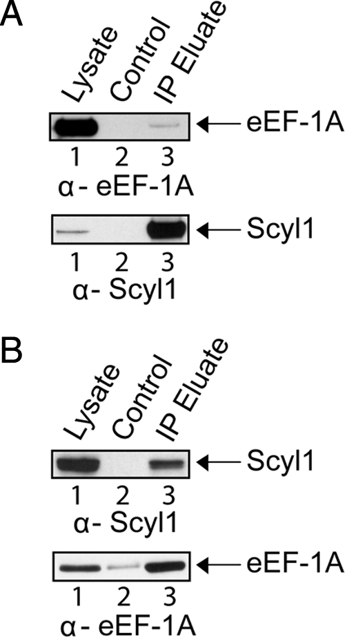 Figure 13.