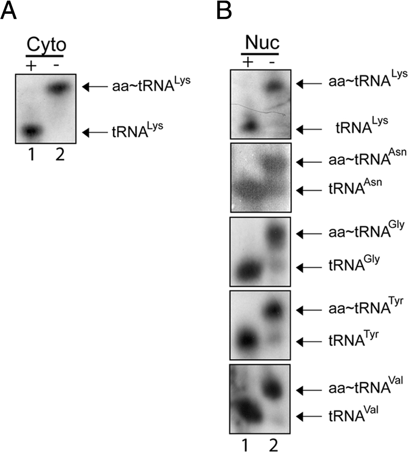 Figure 12.