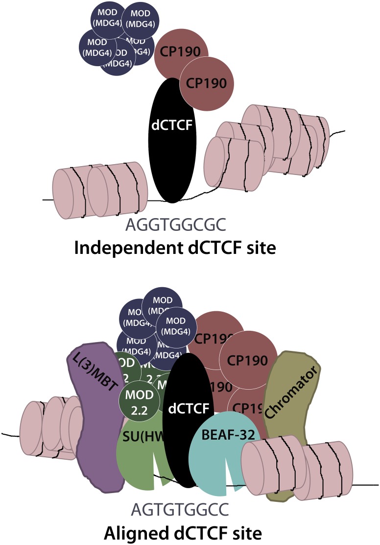 Figure 7.