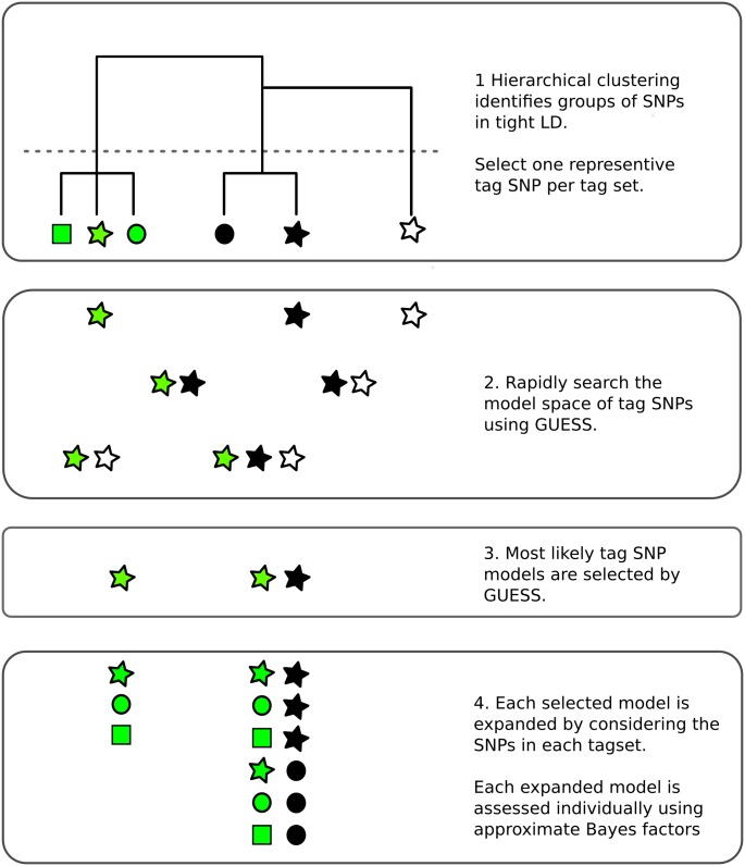 Fig 1