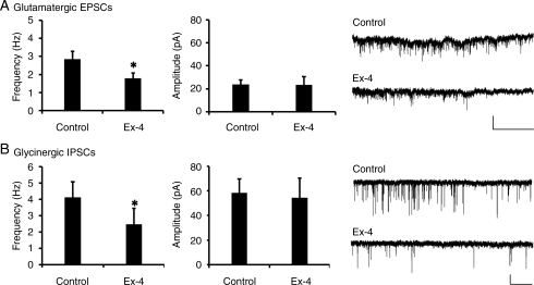 Figure 5