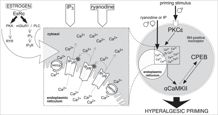 Figure 7.