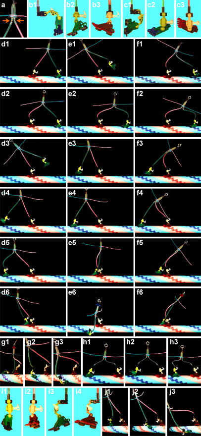 FIGURE 3