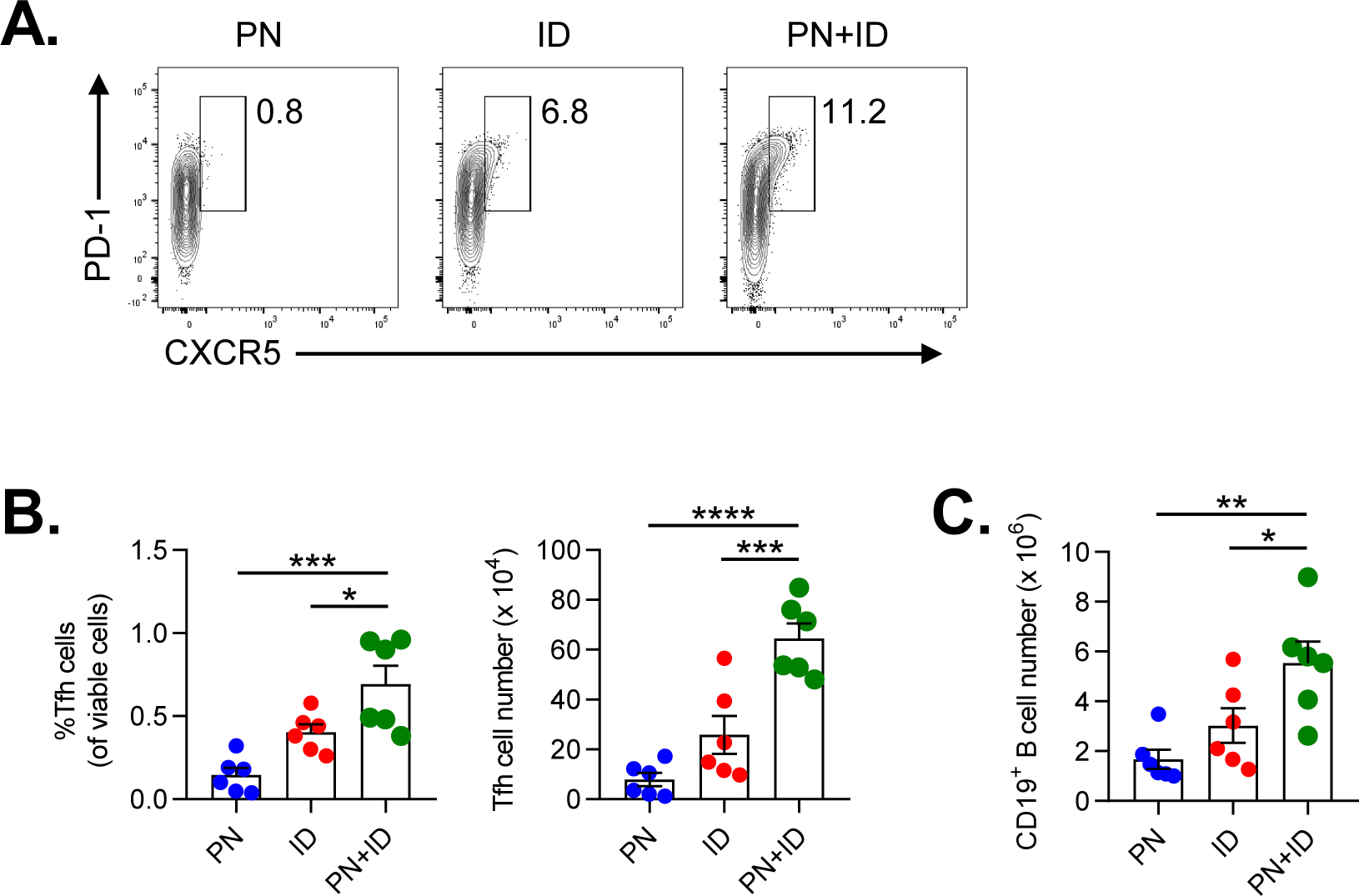 Figure 6.