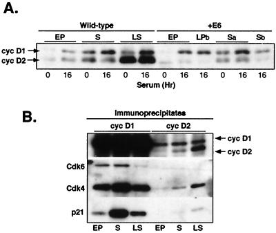 FIG. 7