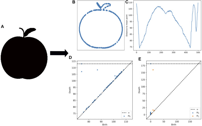 FIGURE 4