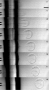 Fig. 2.