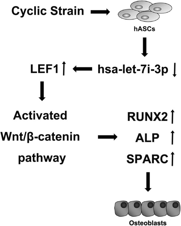 Fig. 10