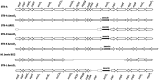 FIG 4