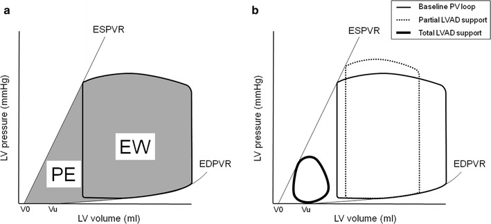 Fig. 10