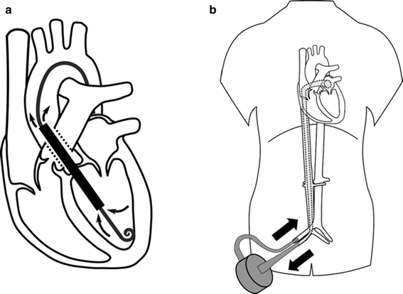 Fig. 9