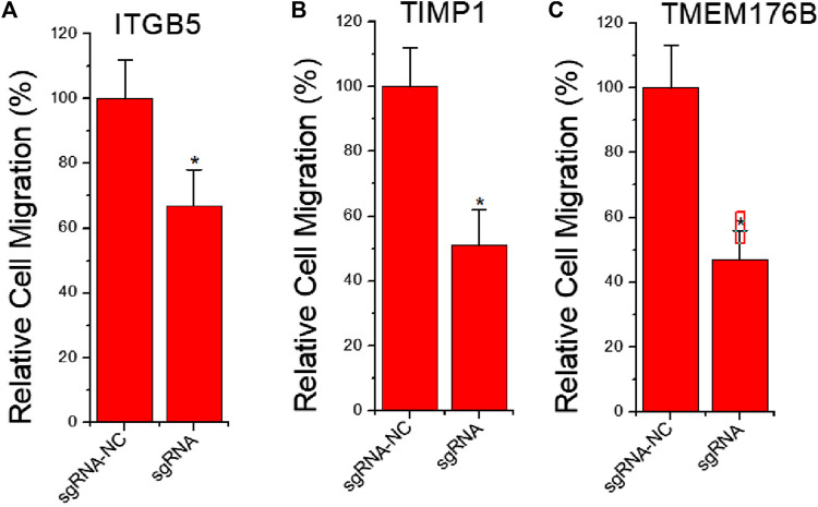 FIGURE 3