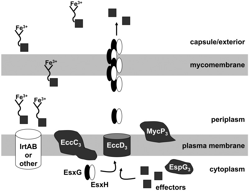 FIG 6 