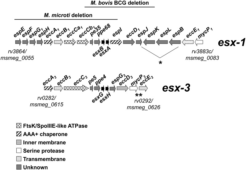 FIG 1 