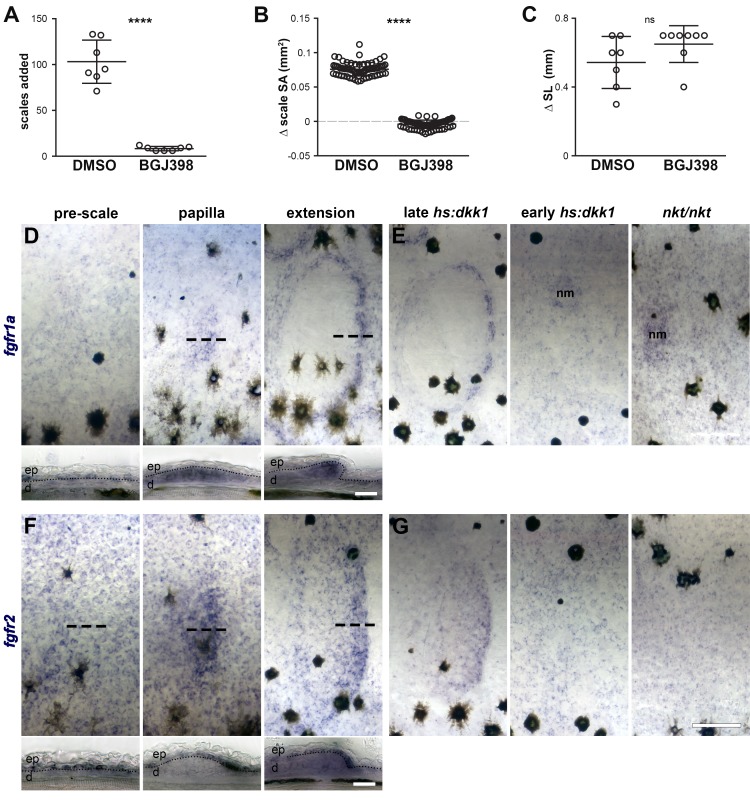 Figure 4—figure supplement 1.