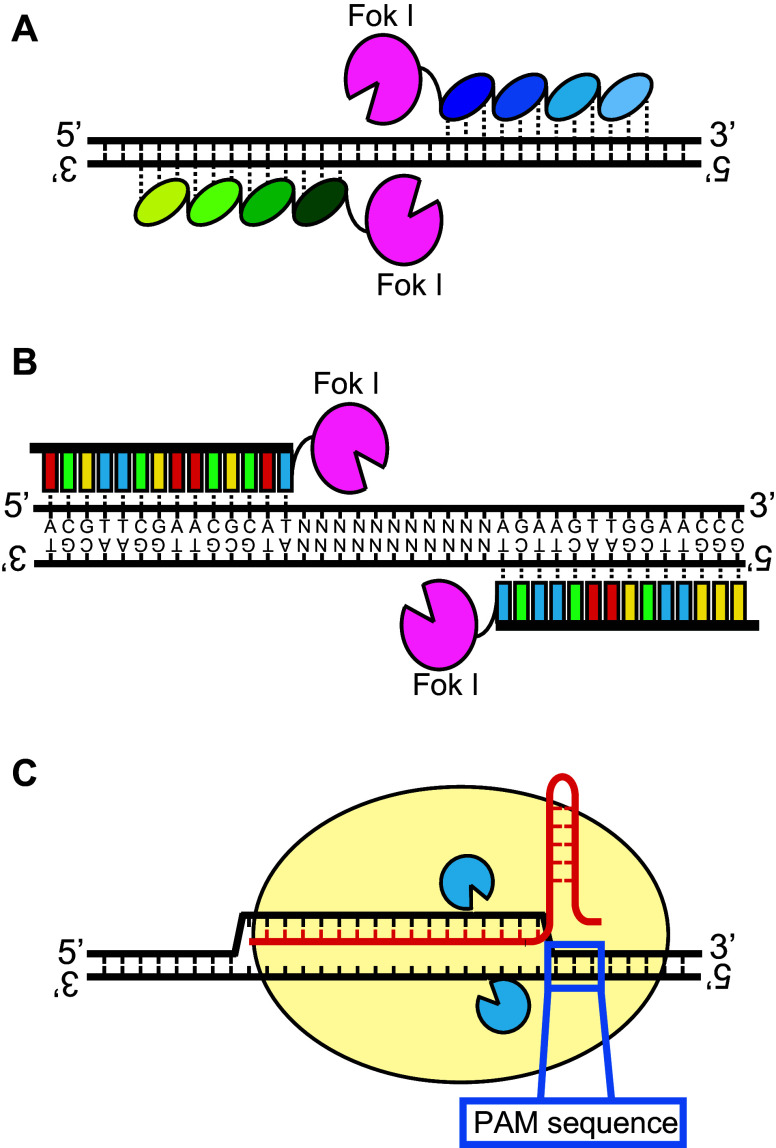 Fig. 3