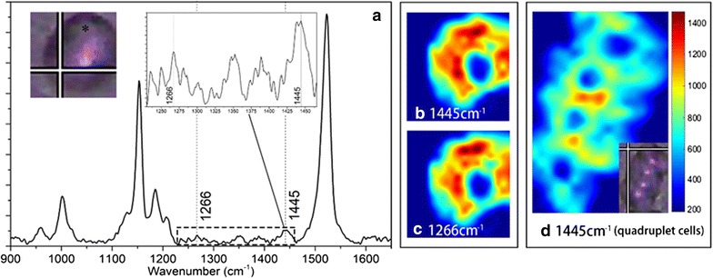 Fig. 3