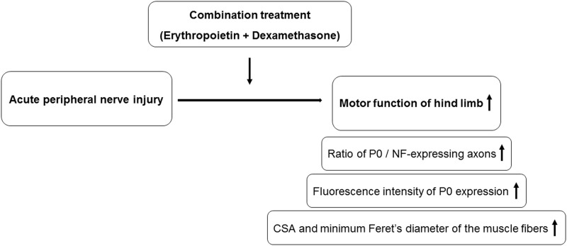 Fig 7