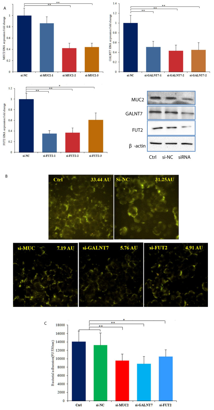 Figure 3