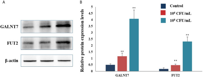 Figure 6