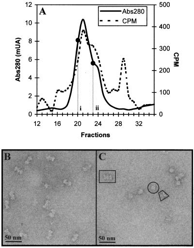 FIG. 1