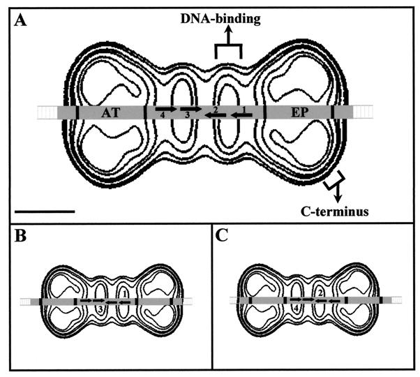 FIG. 6