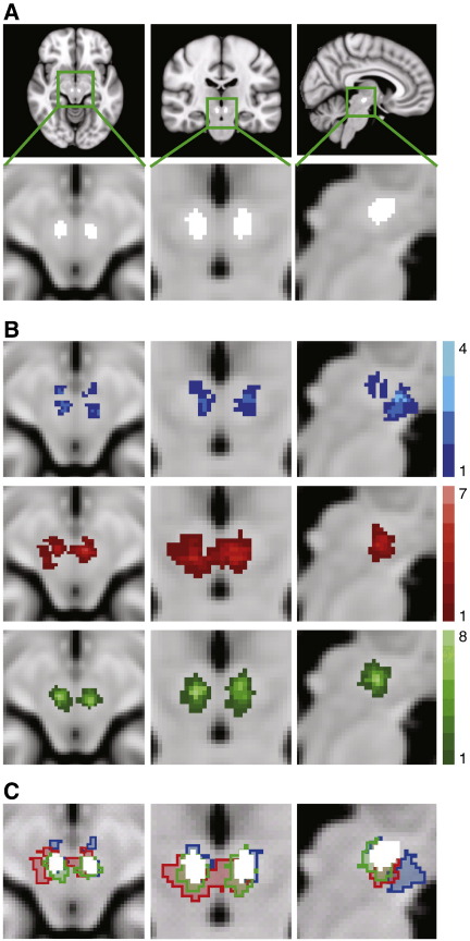 Fig. 2