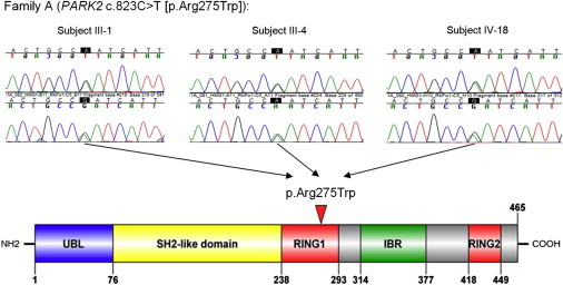 Figure 2