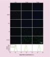<b>Figure 3.</b>