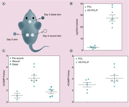 Figure 6. 