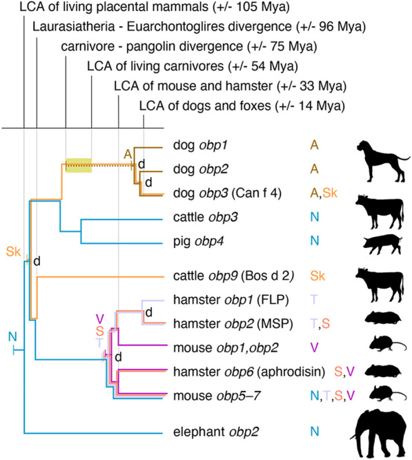 Fig. 4