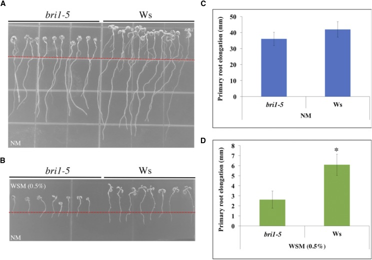 Figure 6.