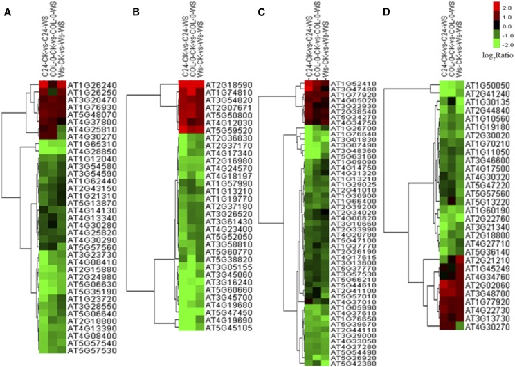 Figure 4.