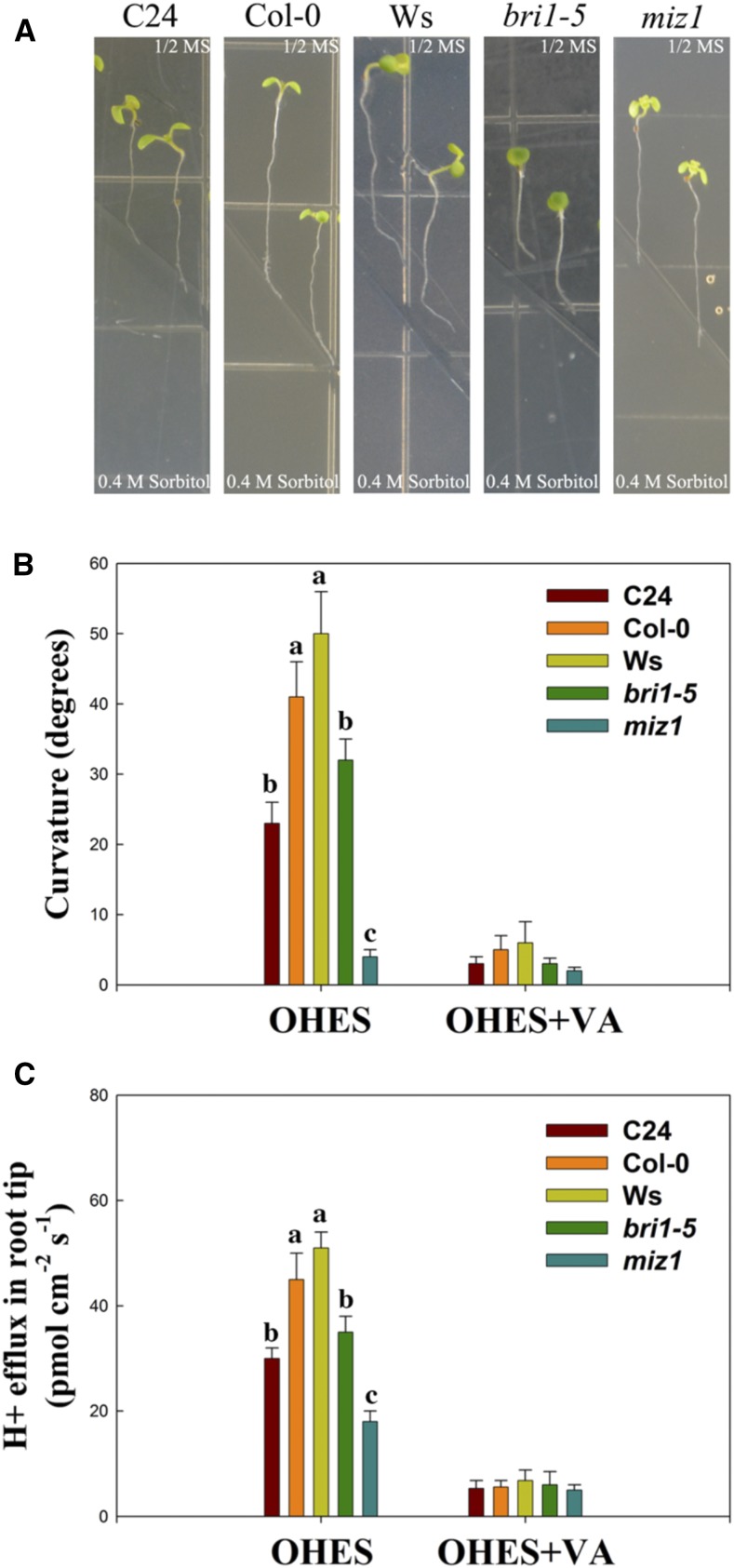 Figure 10.