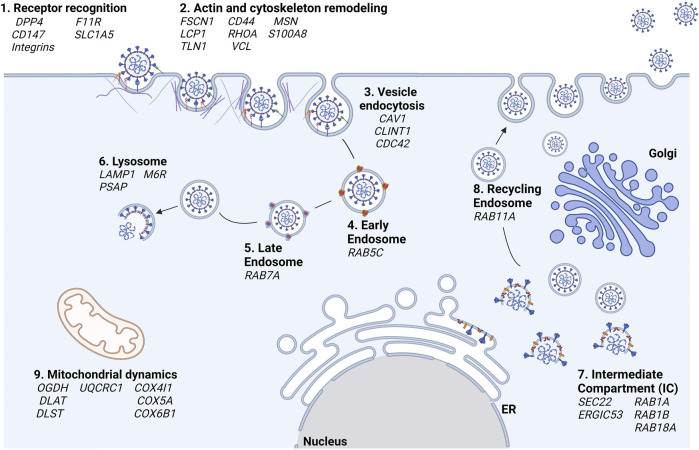 FIGURE 6