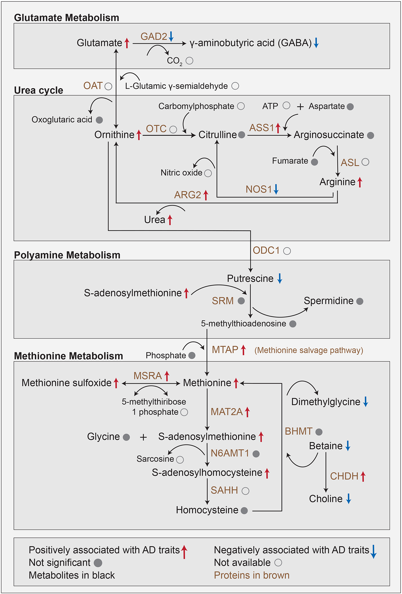 Figure 5: