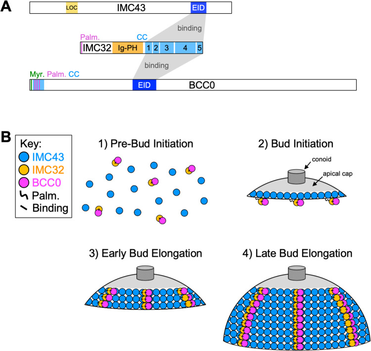 Fig 8