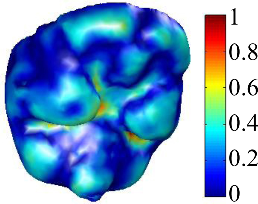 Fig. 10