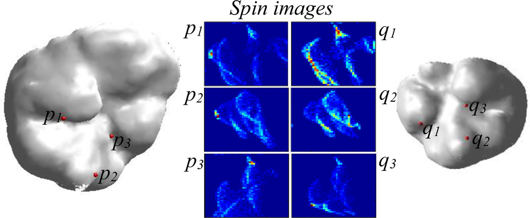 Fig. 11