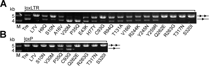 Figure 2.