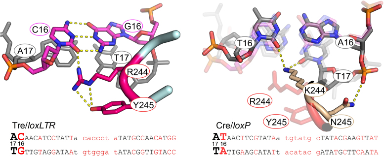 Figure 9.