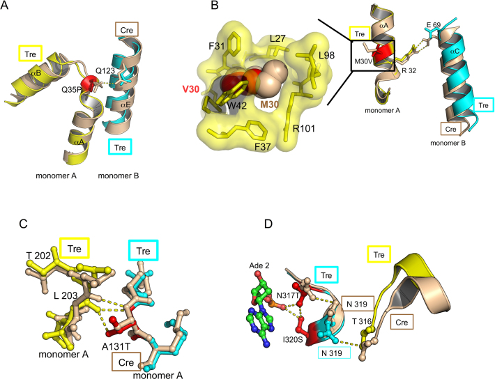 Figure 10.