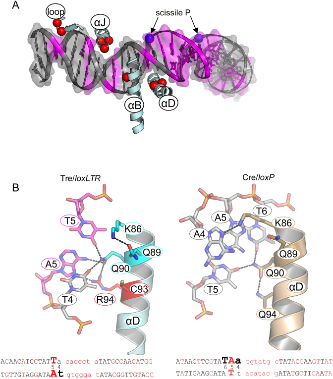 Figure 6.