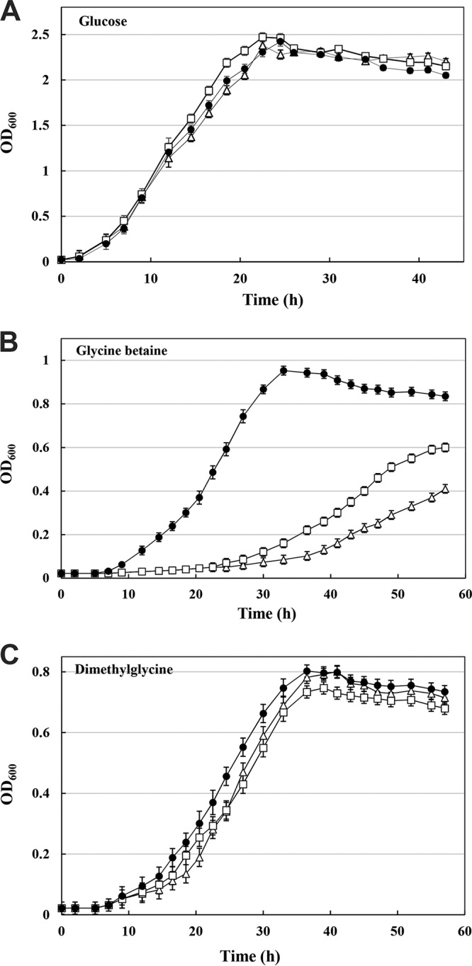 FIG 2