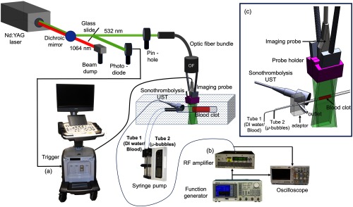 Fig. 1